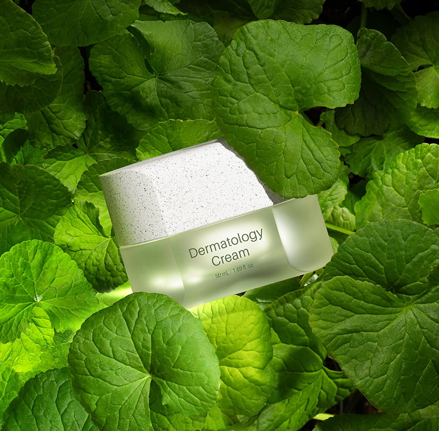 Dermatology Cream (クリーム)