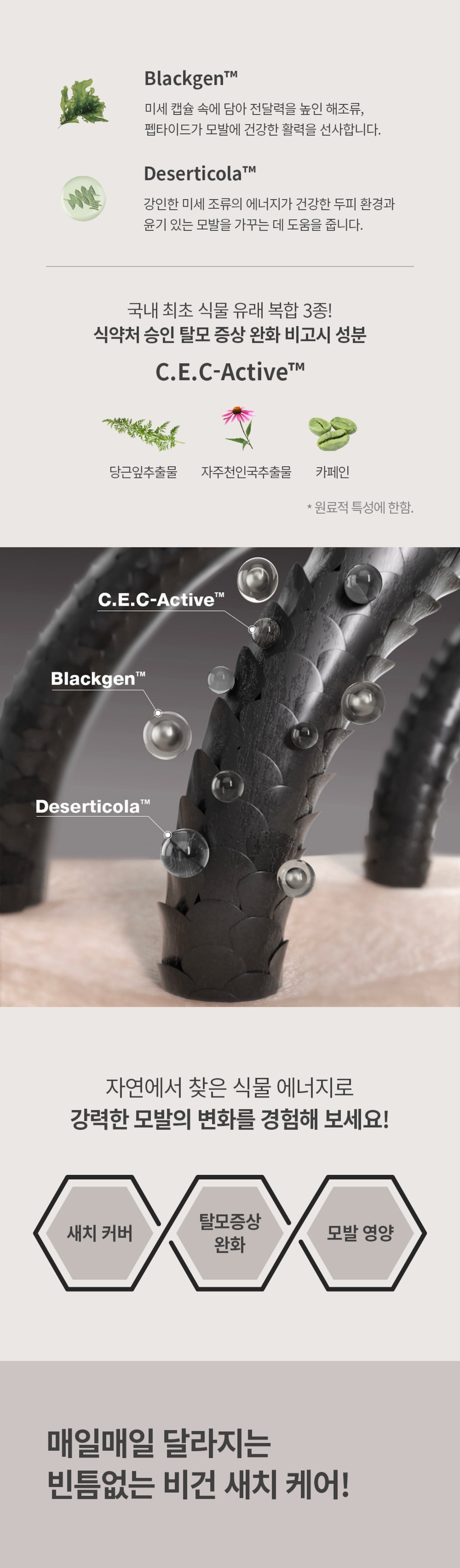 Botalab Deserticola Black Treatment [デジャティコーラ・ブラック・トリートメント]